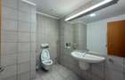 Apartament spectaculos cu terasă și grădină | Mircea Eliade, Primăverii - 10