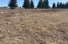 Teren Intravilan de 1804 mp , CF, zona Copcea , Marisel - 6