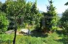 Casa 3 camere, 129mp, zona Viisoara , teren 1240mp - 11