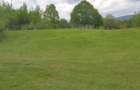 Teren 1000m2 in Breaza, jud. Prahova, strada Lazului - 4
