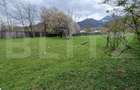 Teren intravilan cu 2 deschideri la drum 35 m, 4300 mp, Baciu Sacele - Brasov - 2