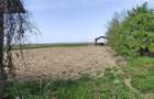 Casa la tara, gaz, acces auto, teren 4122 mp Petid, Bihor VANZARE - 17