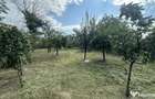 Casa traditionala+teren 1172mp intravilan in Lunca Corbul... - 8