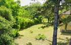 Panorama eterna asupra Balatonului - 5