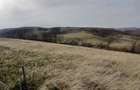 De vanzare,Tomnatic Bihor