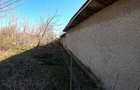 Teren 1000 mp sat BALANU JUD GIURGIU - 1