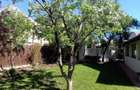 Vila luminoasa cu gradina, 5 camere, Mogosoaia - 8
