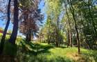 Teren intravilan de vanzare-3600 mp-str. Visinilor-Cisnadioara! - 1
