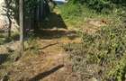 Teren Intravilan 586 mp Comuna Tinosu (Str. Garii), vizavi de Parc - 4