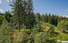 Apartament Premium | Silver Mountain| Regim Hotelier | SP... - 2