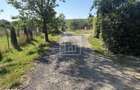 Teren pentru constructii langa Padurea Dumbrava Sibiu - 3