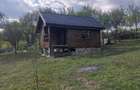 Casa din lemn + 29 de arii teren intravilan