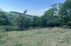 Proprietar vand teren intravilan 2774 mp - 5