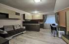 Apartament cu o camera de inchiriat Zona Nufarul | Bloc tip boutique - 4