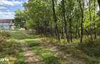 TEREN IN VLADESTI - NATURA SI DOAR 7 KM PANA IN CENTRUL RAMNICULUI - 5
