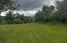 Teren de Vanzare 15000m2 - 3