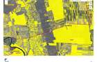 Teren arabil de vanzare UAT Liesti - 2