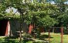 Casa de vanzare, com. Corbii Mari, Satu Nou, jud. Dambovita - 10