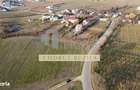 Teren intravilan 2500mp, Bucov - 5