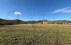 Teren intravilan de vanzare in Alma jud. Sibiu 7.342 m - 4