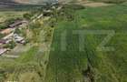 Casa de vabzare, 87 mp, 6.400 mp teren, zona Lujerdiu