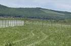 Vand teren intravilan , localitatea Chintelnic - 1