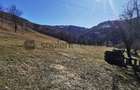 De vânzare teren intravilan 10,100 mp, cu anexă, Munteni