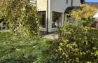 Casa Preluca Neamt din caramida - 10