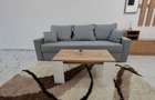 Inchiriere apartament de 2 camere,strada Transilvaniei/Baciu - 14