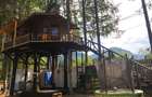 Cabana in Poiana Marului jud.Caras-Severin - 3