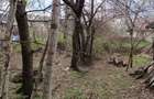 Vand teren intravilan, 1808 mp, situat in Sat Poiana Mierlei, Com. Drajna, Jud. Prahova - 4