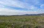 Vand 1,7325 hectare Teren Arabil Extravilan Orasu Nou-Vii, jud. Satu Mare, Acte la Zi, Proprietar - 2