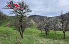 Teren intravilan 1500 mp de vanzare in Inuri Jud Alba