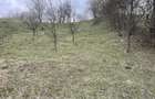 vand 2300m2 teren intravilant comuna secaria - 8