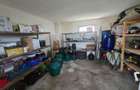 Proprietate in comuna Vedea, teren = 4200 mp - 5