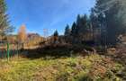 Teren intravilan 1725mp zona Valea Avrigului - 1