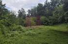Teren de vanzare 15.000 mp in Telega - 9