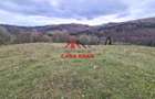 Teren extravilan Valea Doftanei 20.500 mp 6e mp - 8