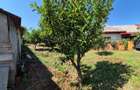 Casa cu teren 760 mp | Valu lui Traian | Zona Linistita - 4