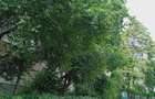 103 mp, in care spatiu chiar se simte, luminos, linistit (PROPRIETAR) - 10