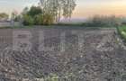 Teren Intravilan - 3600mp - Forasti, Falticeni - 1