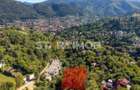 Teren intravilan zona Schei Brasov