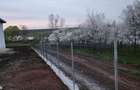 Vand Casa P+1 cu Teren 2000 mp in Com Mosteni Jud Teleorman - 11