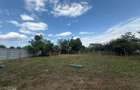 Teren comercial de inchiriat, 2630 mp, urban - 17