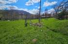 Oportunitate de Investi?ie: Teren Intravilan 2000 mp in Valea Doftanei - 7