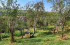 Casa cu teren generos de vanzare in Magurele, judetul Bistrita - 3