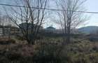 Teren intravilan Comuna Snagov , Lac Snagov