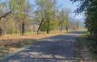 Teren de 4780 mp, în Fornădia