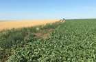 Vand teren agricol 103 ha compact in Judetul Timis - 8
