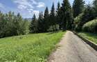 Predeal - Strada Pajistei - Teren Intravilan 830 Mp Deschidere 24 Ml - 6